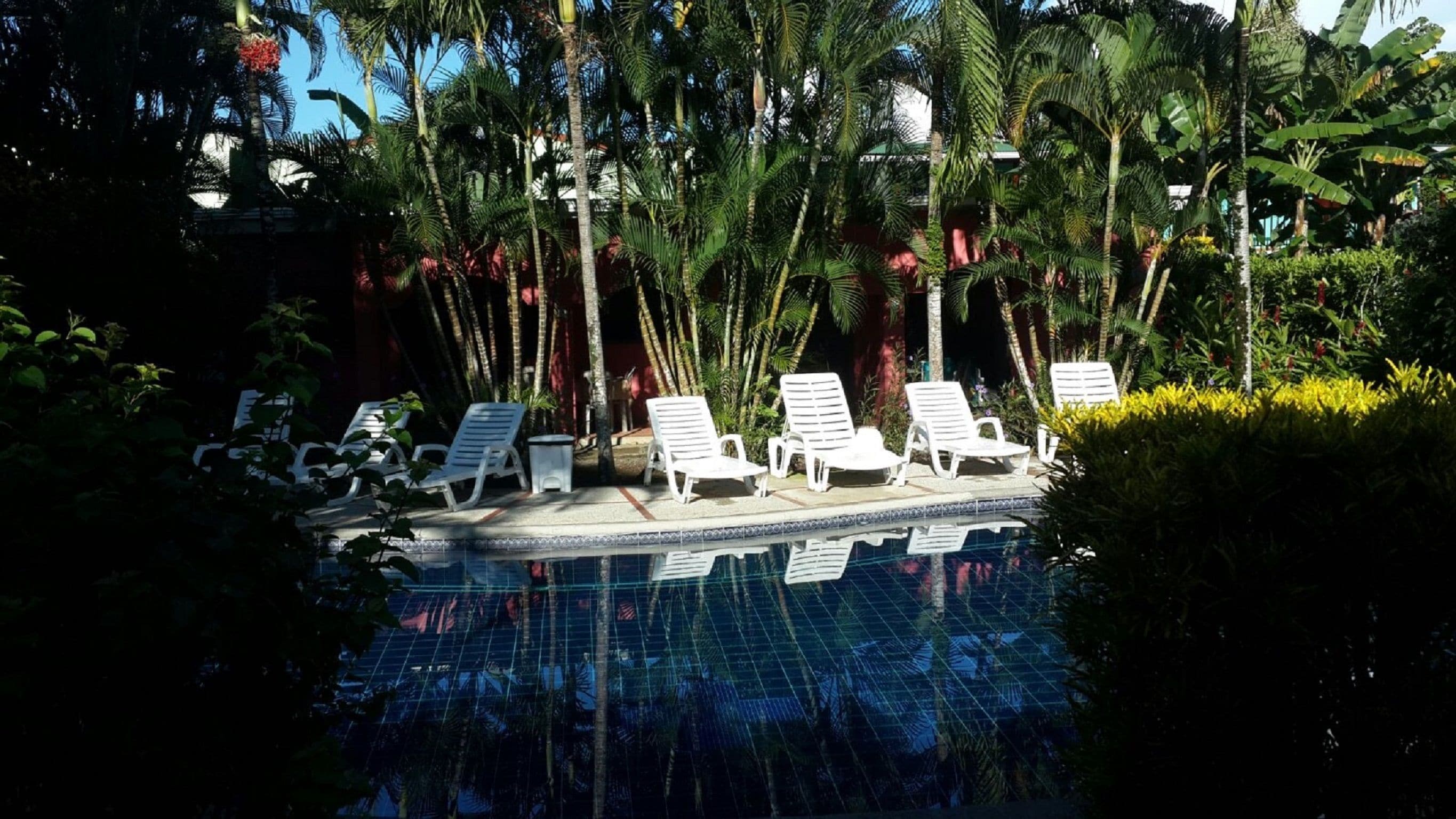 outdoor pool, open 8:00 am to 8:00 pm, pool loungers