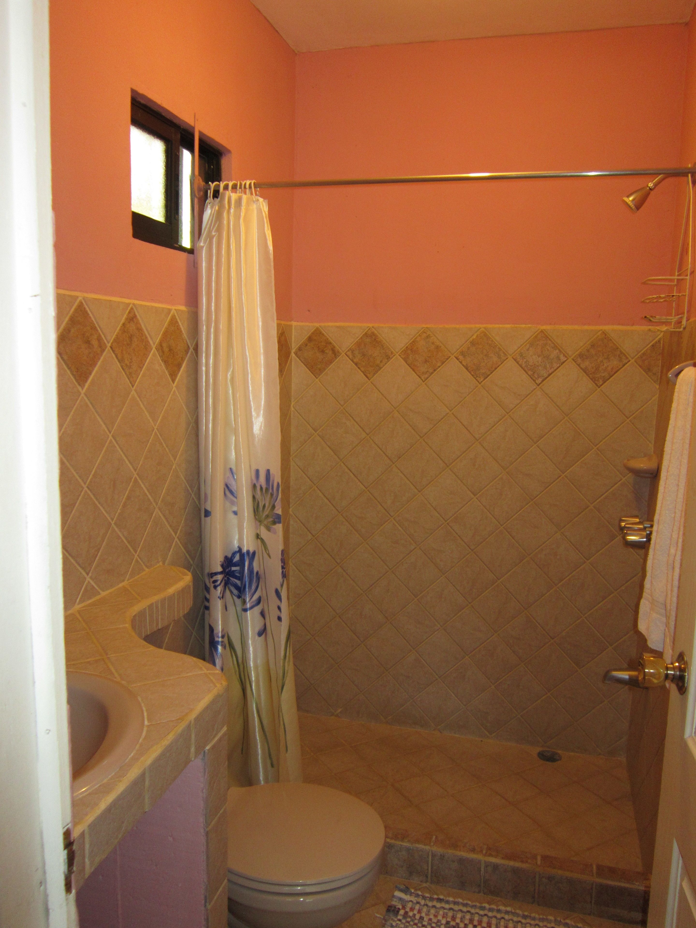 studio, kitchenette | bathroom | shower, towels, soap, shampoo