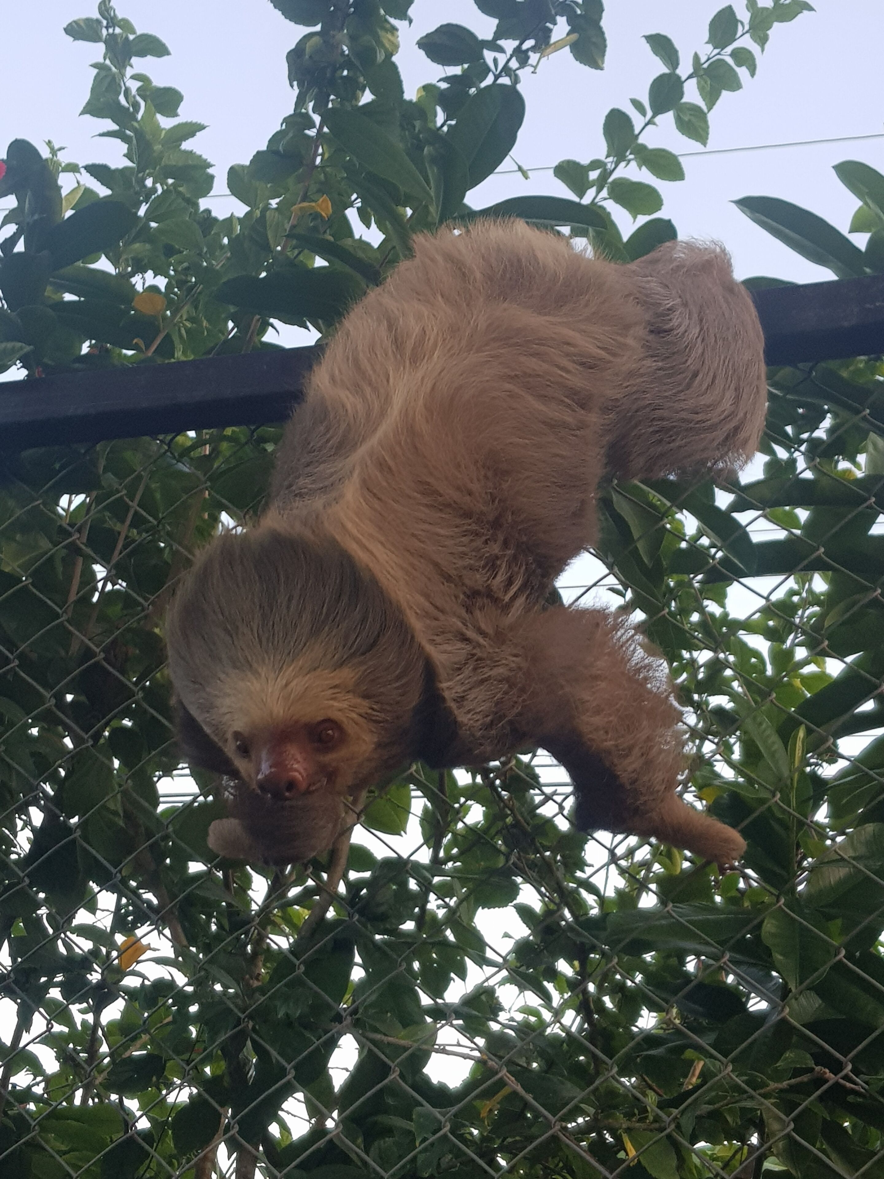 Photo - Hotel El Paraiso Escondido - Costa Rica