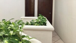 Um corredor estreito com um canteiro branco com plantas verdes, uma porta de madeira escura e uma parede branca.