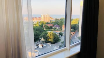 Family Apartment, 1 Queen Bed with Sofa bed | View from room