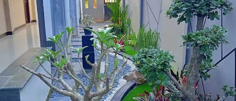 Taman