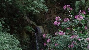 Garden - Finca Casa Blanca (Magdalena Milpas Altas)