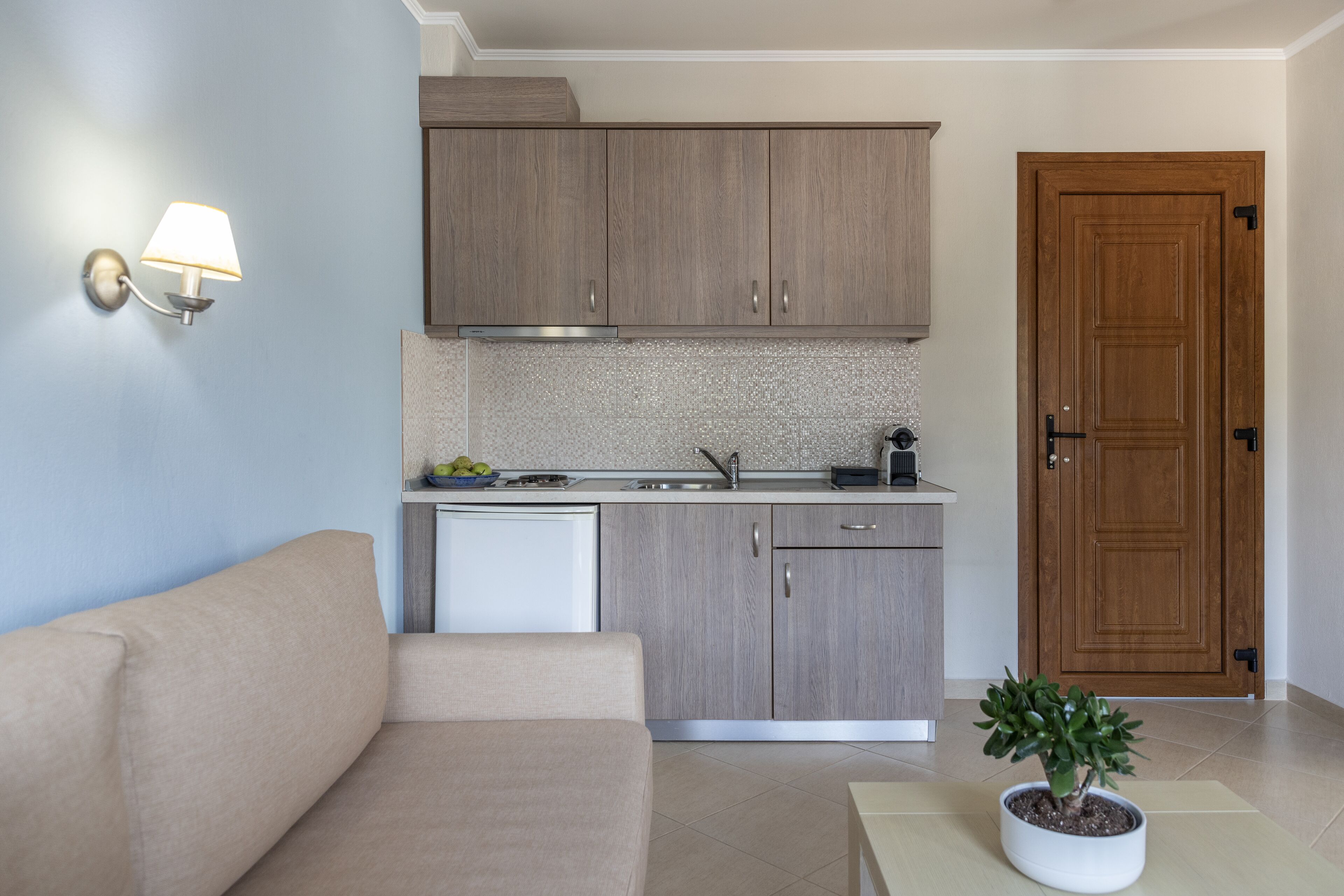 A modern kitchen with wooden cabinets, a built-in dishwasher, and a potted plant on the counter.