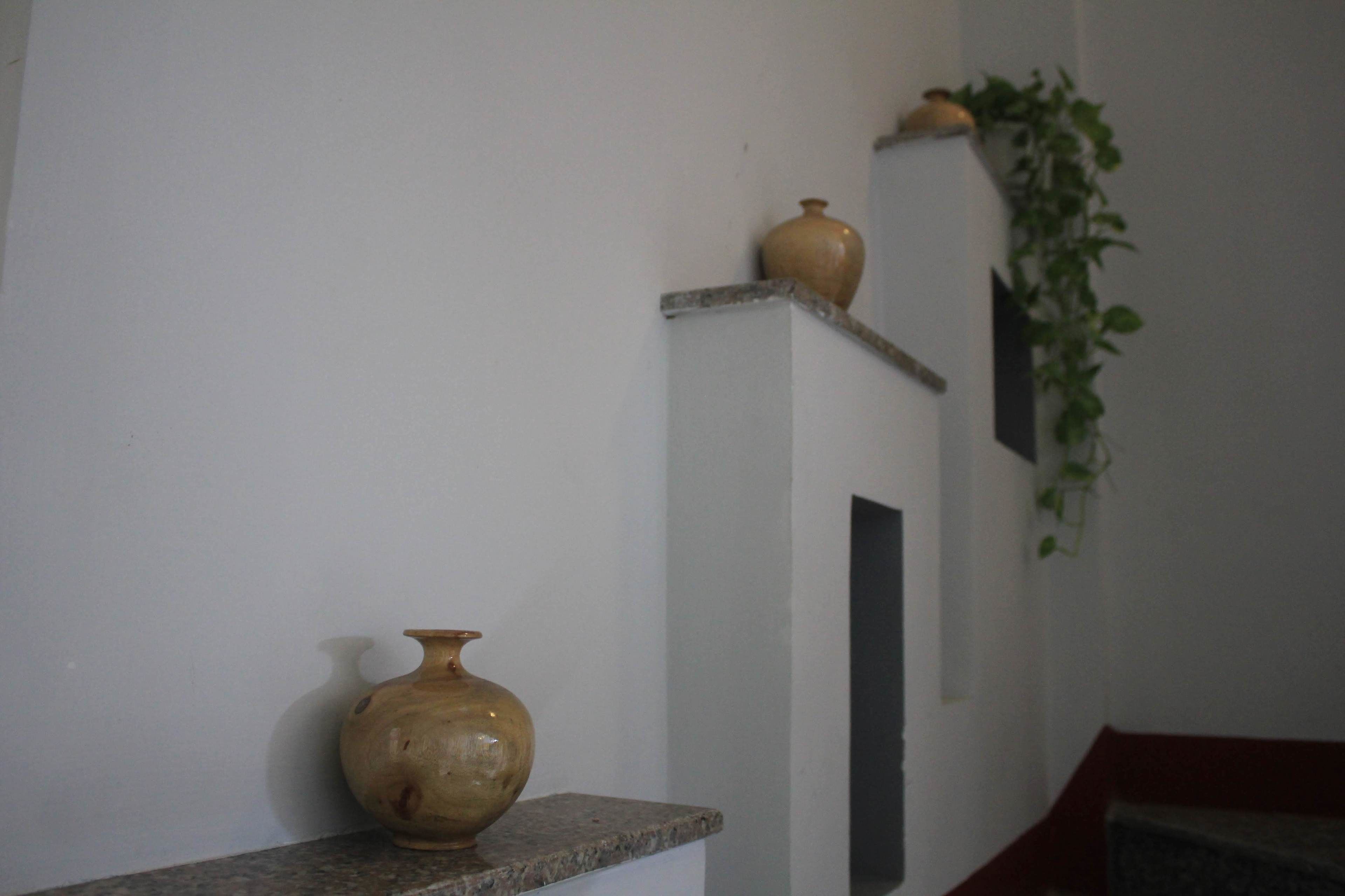 A corner with a vase on a shelf and a plant on a ledge.