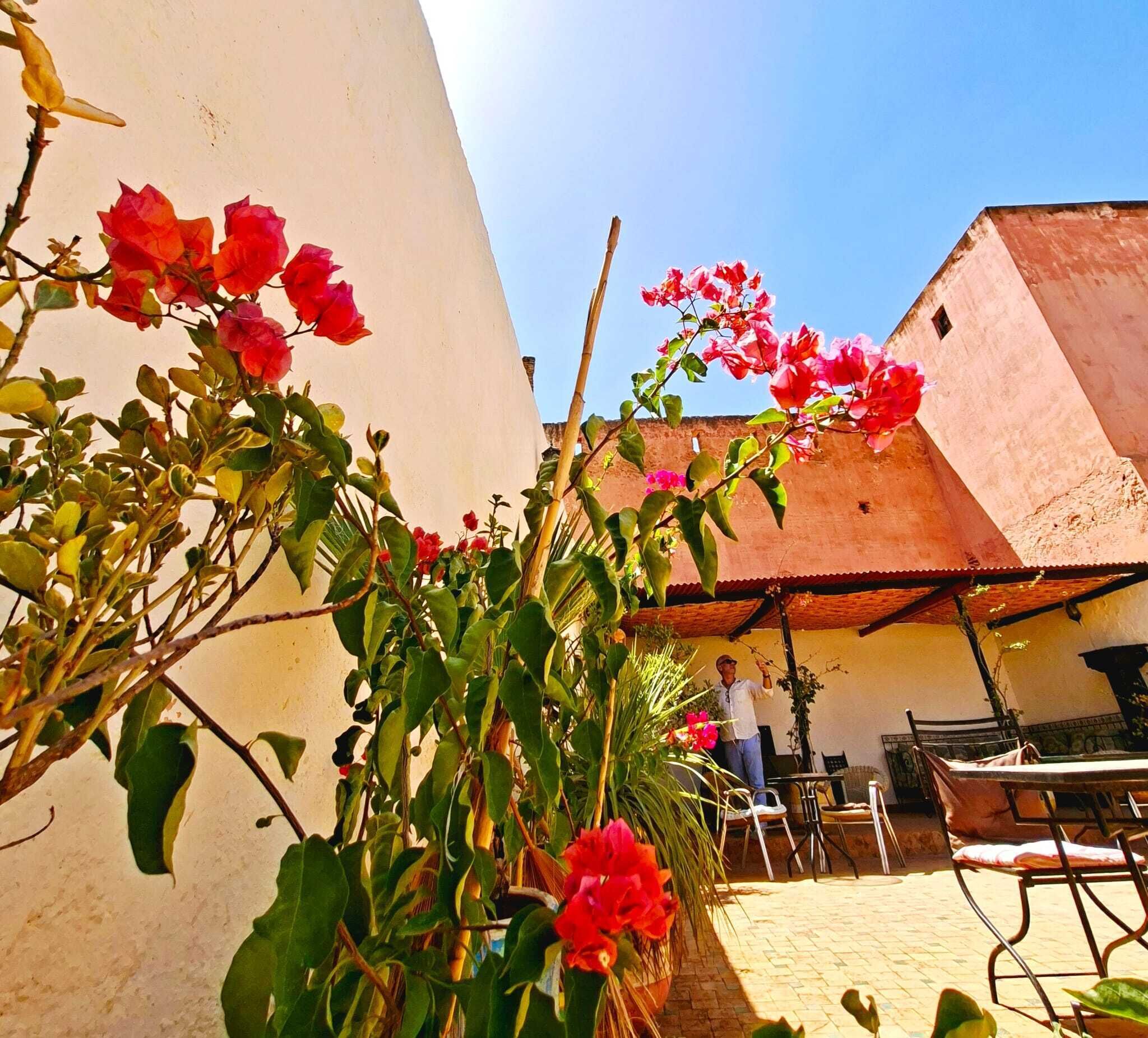 Foto - Riad Menthe Et Citron