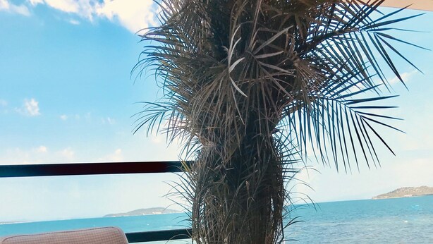 A chair and a lantern on a balcony with a view of the sea. - Fermaki Rooms - Adults Only (Urla)