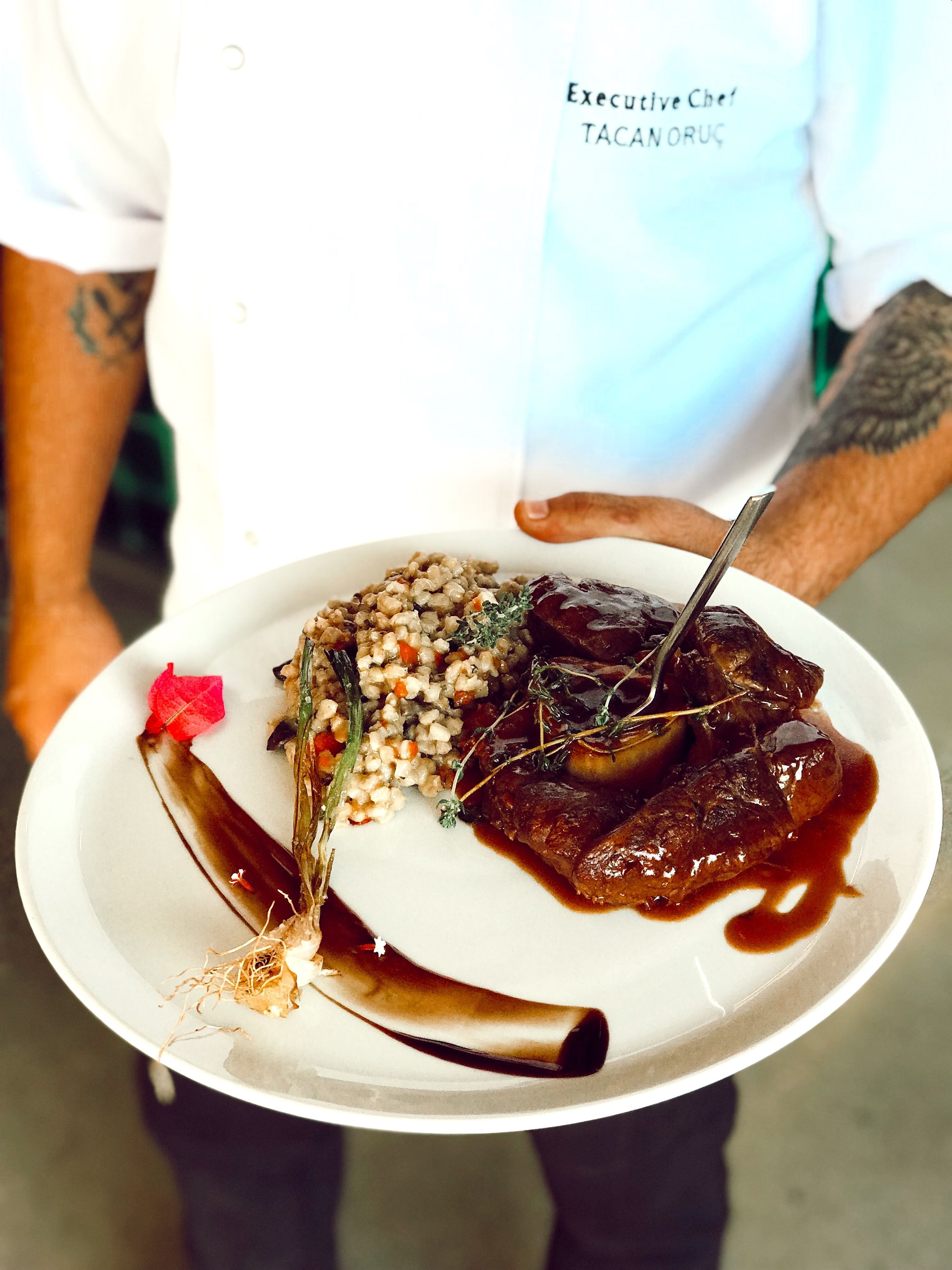 A person holding a plate with a dish of meat, grains, and vegetables, and a decorative element on the side.
