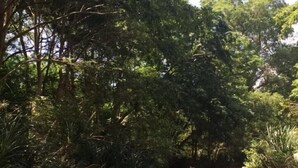 A natural landscape with a river, dense foliage, and rocky terrain. - Dil Lanka Safari Resort (Udawalawa)