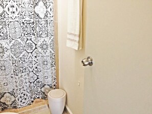 Douche de la salle de bain
