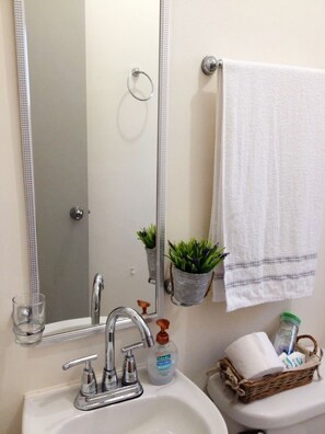 A bathroom with a sink, mirror, towel rack, and a small plant.