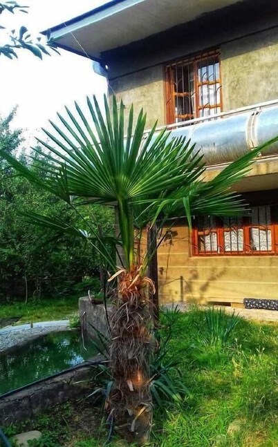 Farmer's Guest House