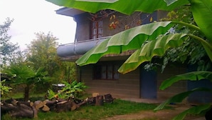 A house with a large banana leaf overhang, a window with bars, and a small tree in the foreground. - Farmer's Guest House (Telavi)