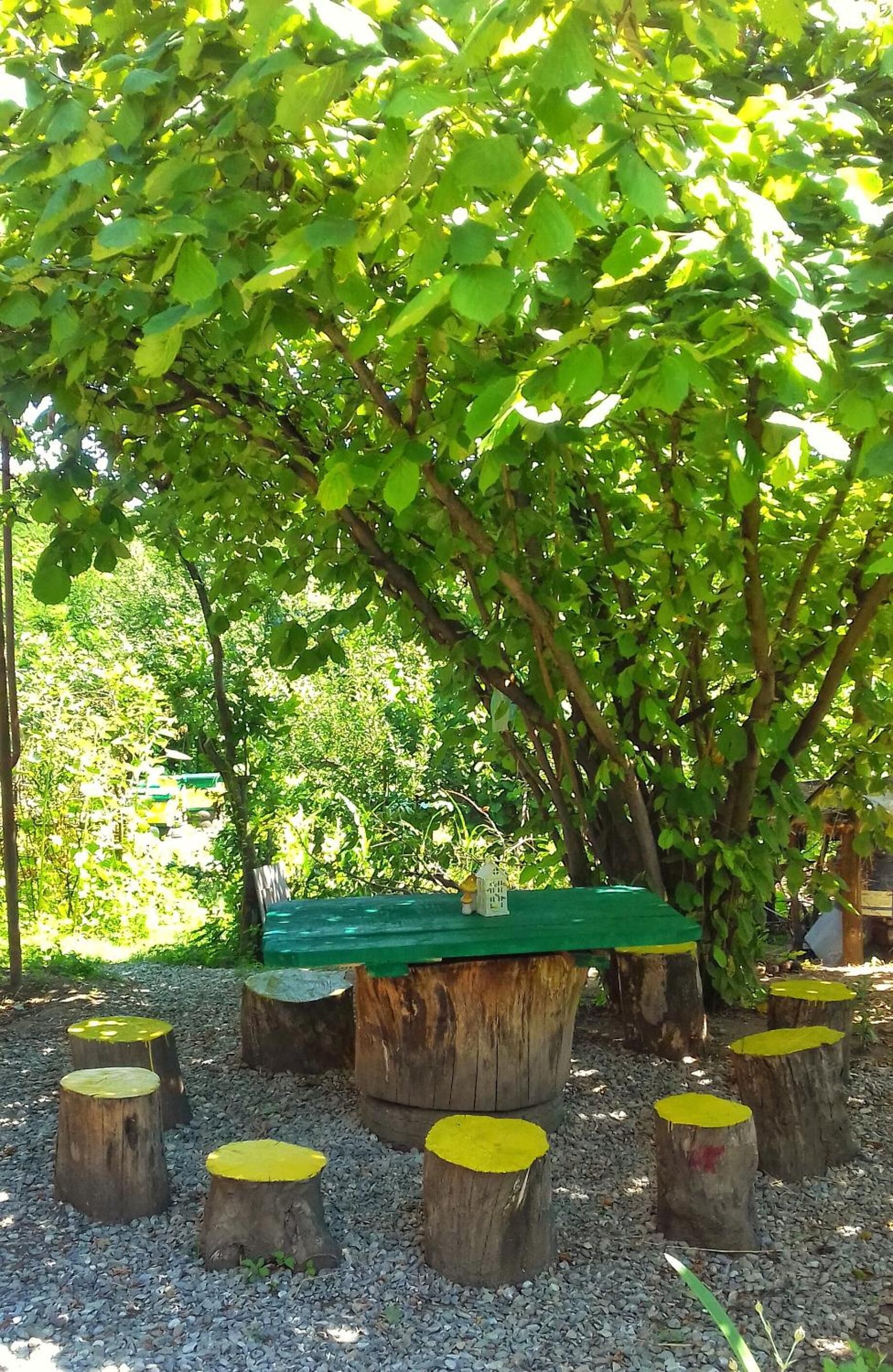 Khuôn viên nơi lưu trú