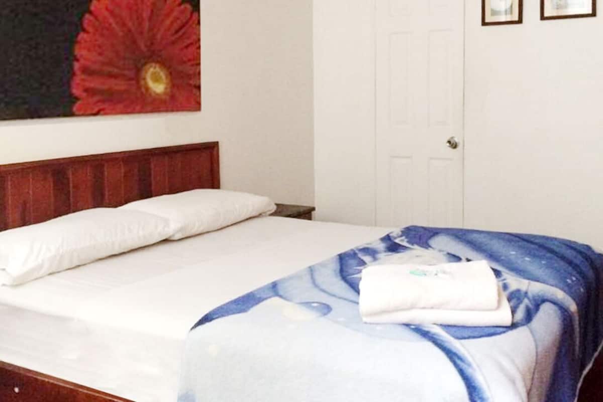 Doppia Standard (Irazú) | Biancheria da letto ipoallergenica, copriletto in piuma