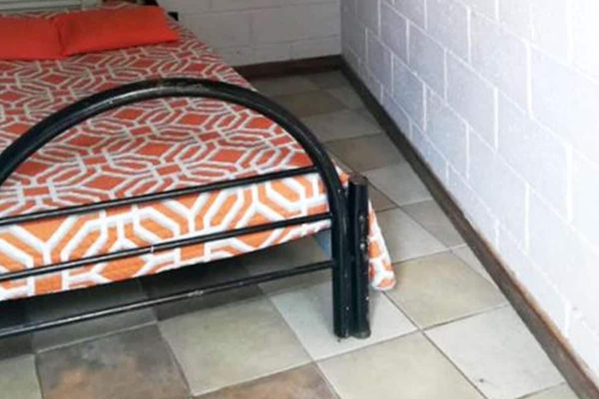 Singola Basic (Conchal) | Biancheria da letto ipoallergenica, copriletto in piuma