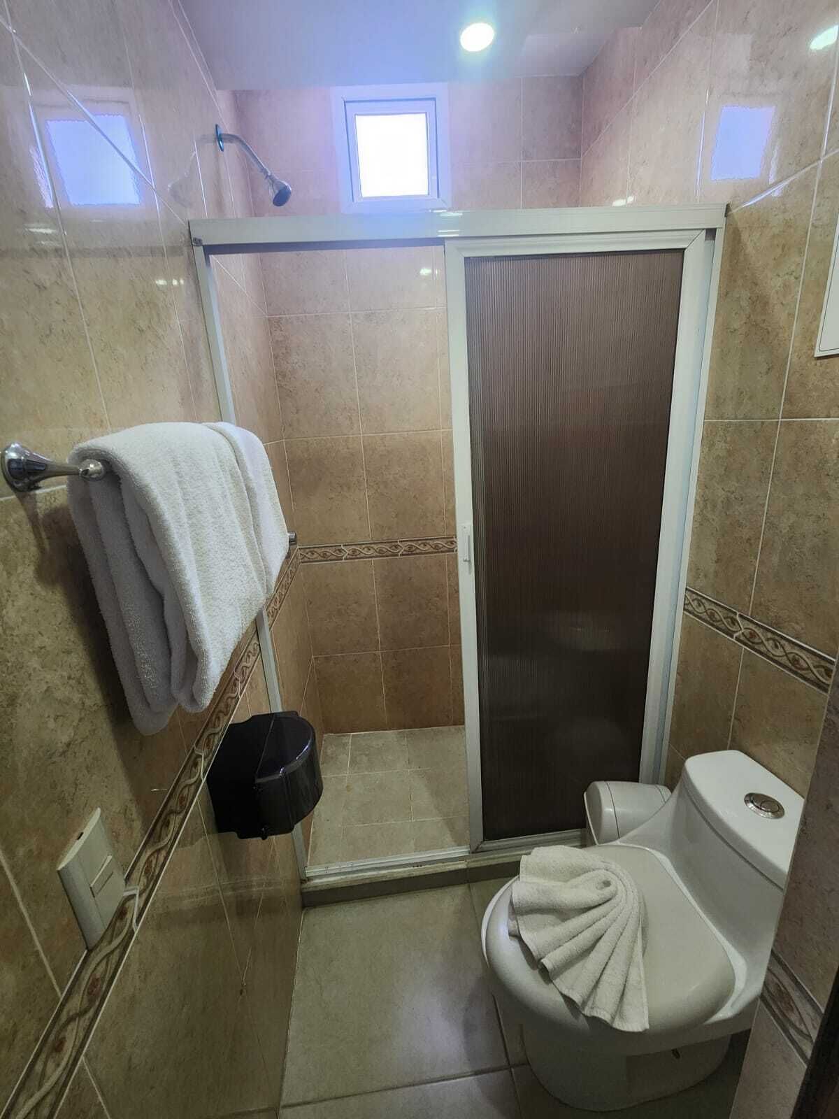 A bathroom with a shower, toilet, and a towel rack.