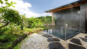 Hot springs - KAWASEMI no YADO (Ueda)