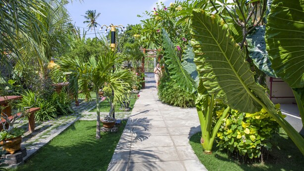 Un sendero de jardín con plantas variadas y una estatua.