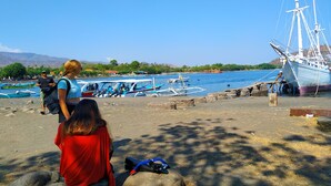 Escena costera con un gran velero anclado en un muelle, rodeado de embarcaciones más pequeñas y gente.