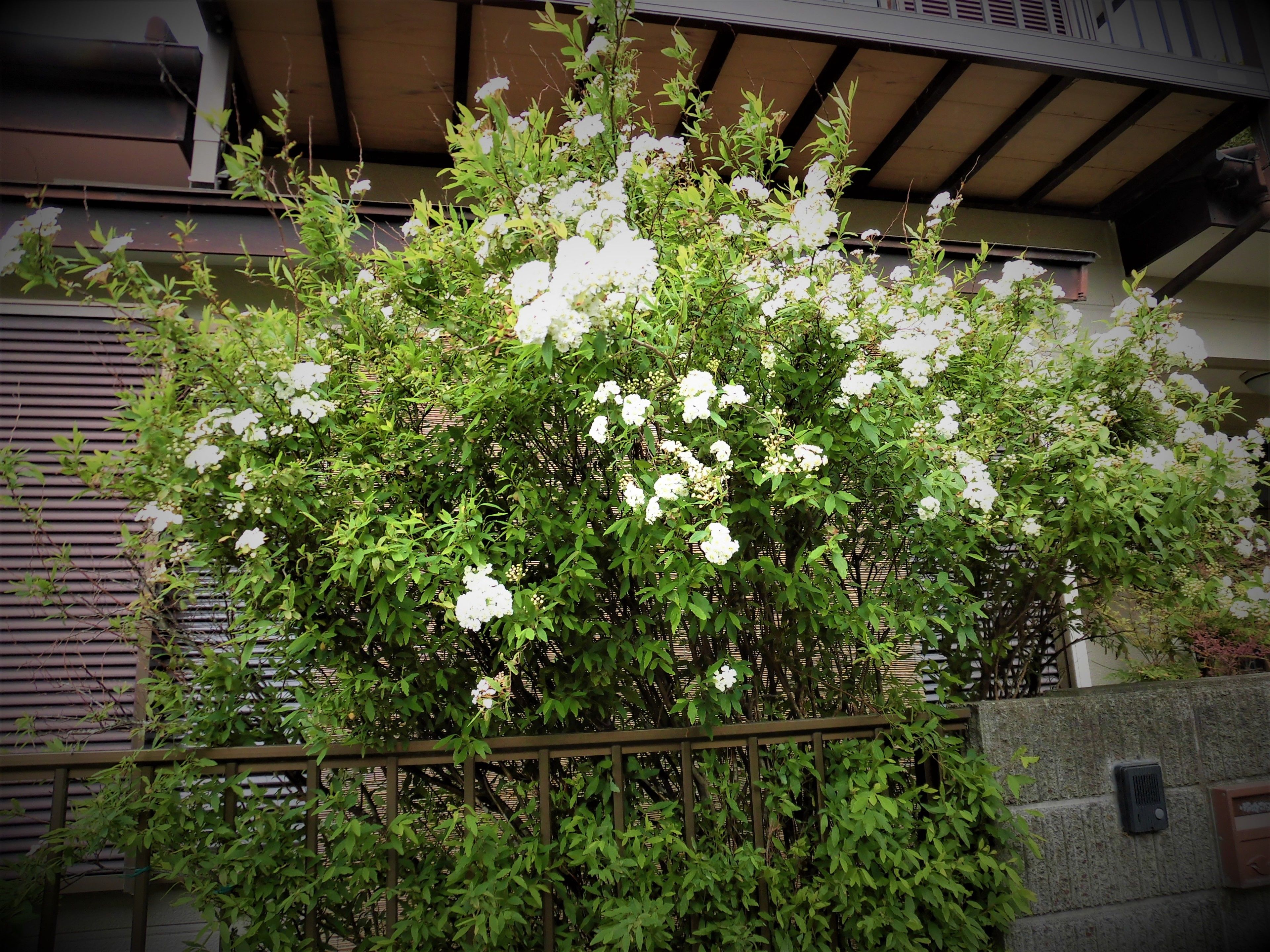 Pemandangan dari properti