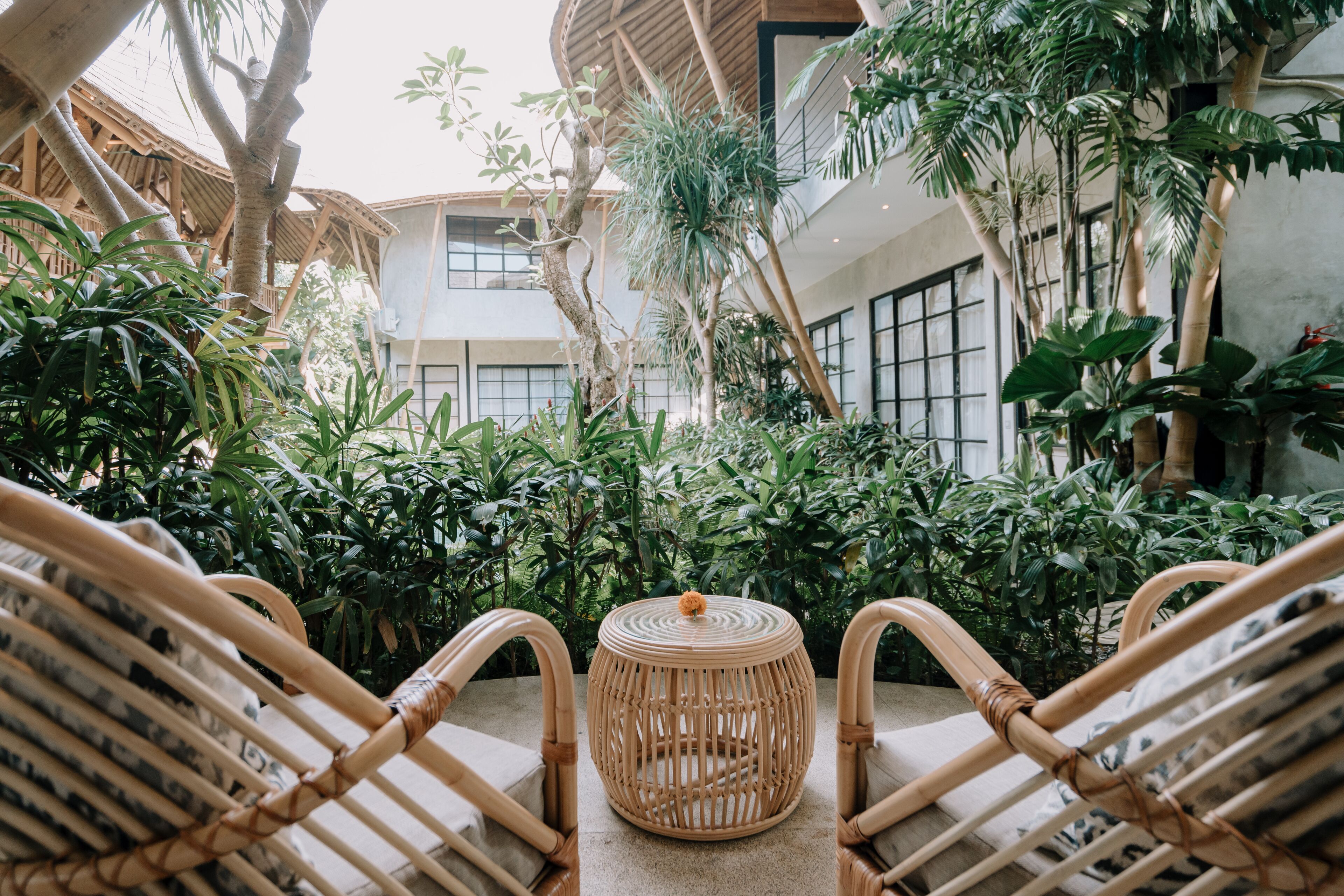 デラックス ルーム (Bamboo) | ガーデン ビュー