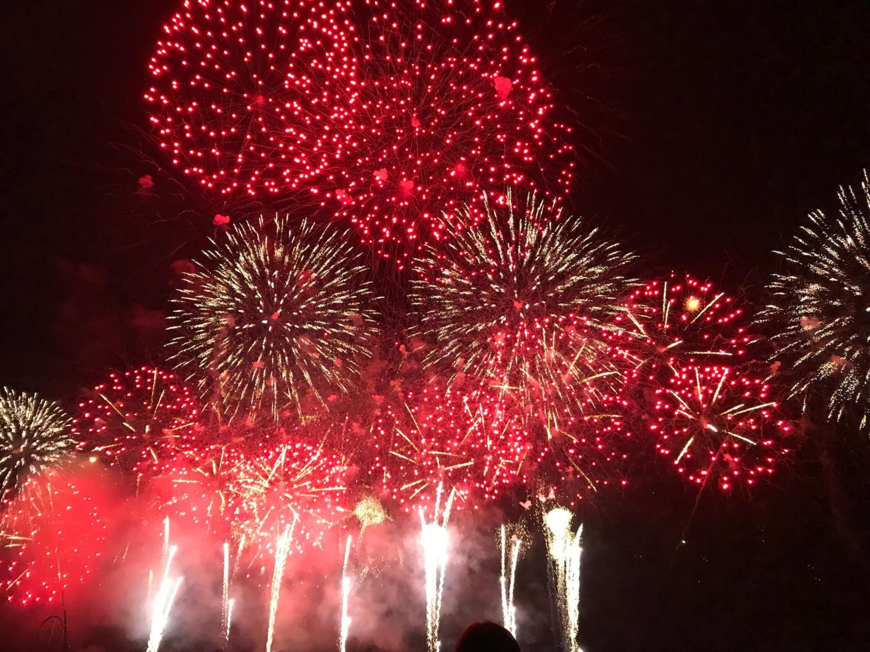 Un cielo notturno illuminato da fuochi d'artificio.