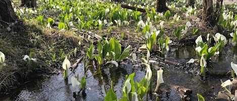 Jardines del alojamiento