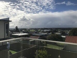 View from property - Nisus View (Mount Melville)