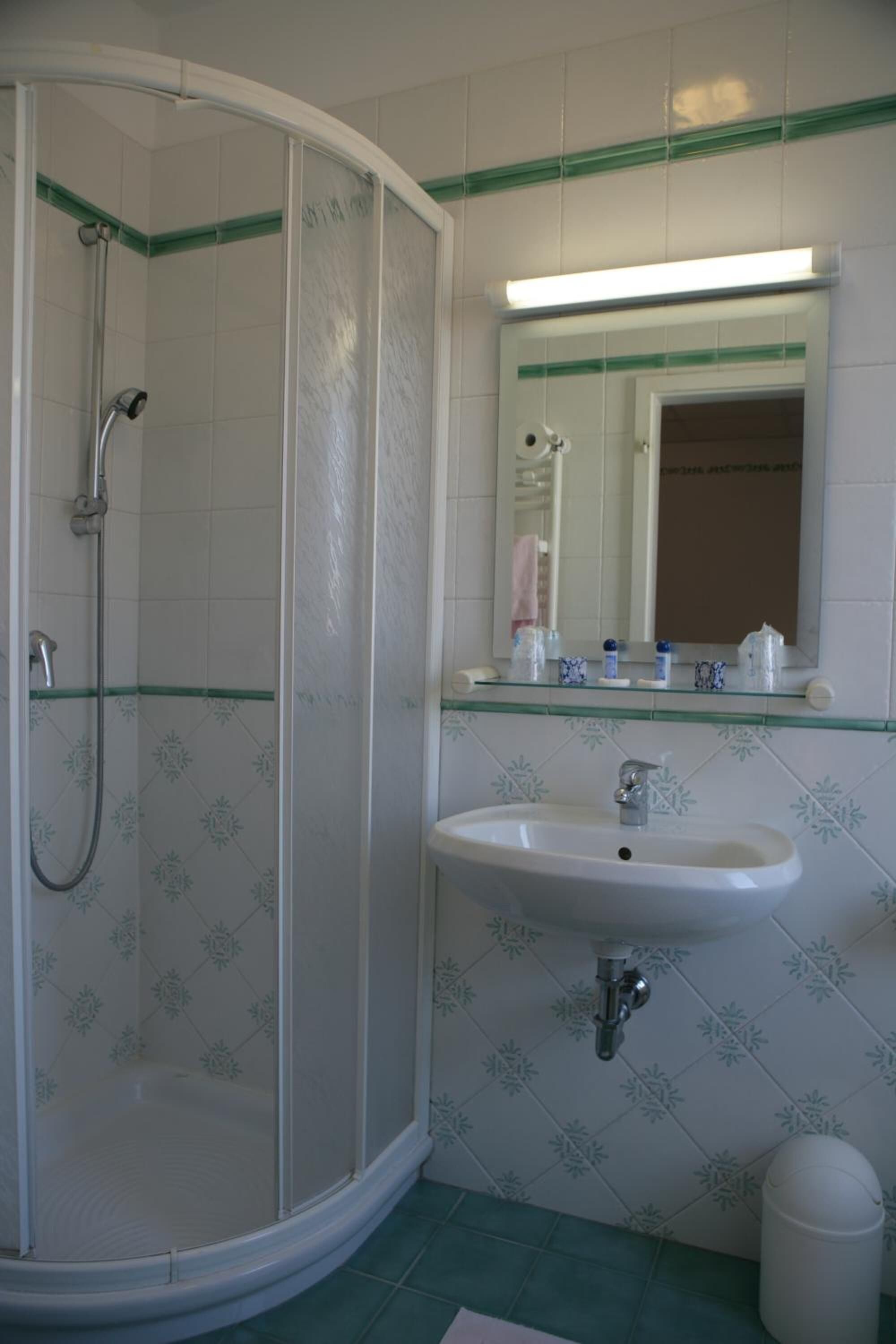 Une salle de bain avec une douche, un lavabo et un miroir.