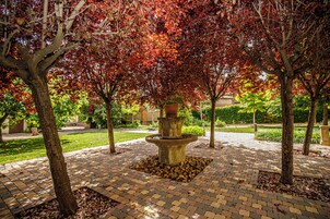 Entrada al alojamiento