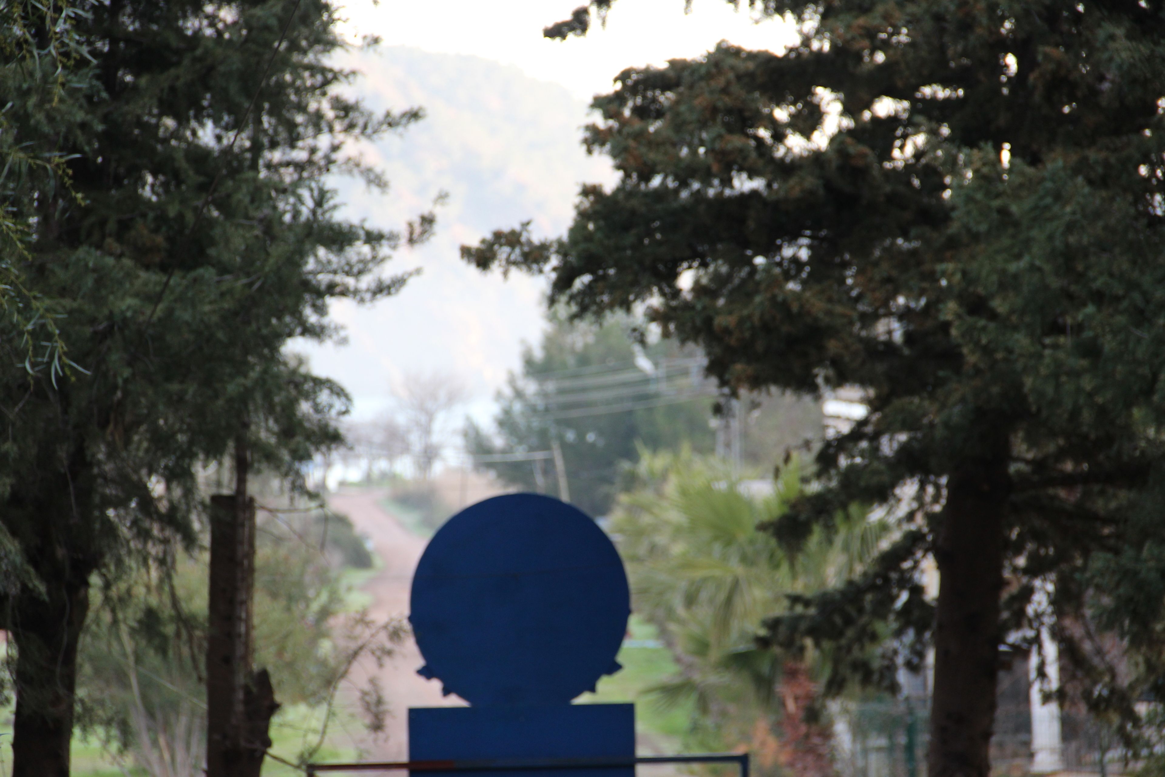A silhouette of a head on a pedestal surrounded by trees.