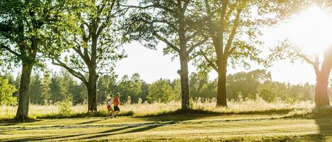 A park with trees and a person jogging.