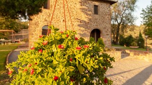 Un edificio de piedra con ventanas arqueadas y una cesta de flores colgante al frente.