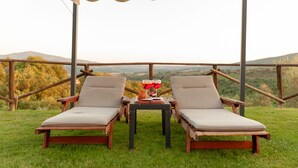 Dos sillones con cojines, una mesa con una copa de vino tinto y un plato de comida, y una vista a un paisaje montañoso bajo una copa de árboles.