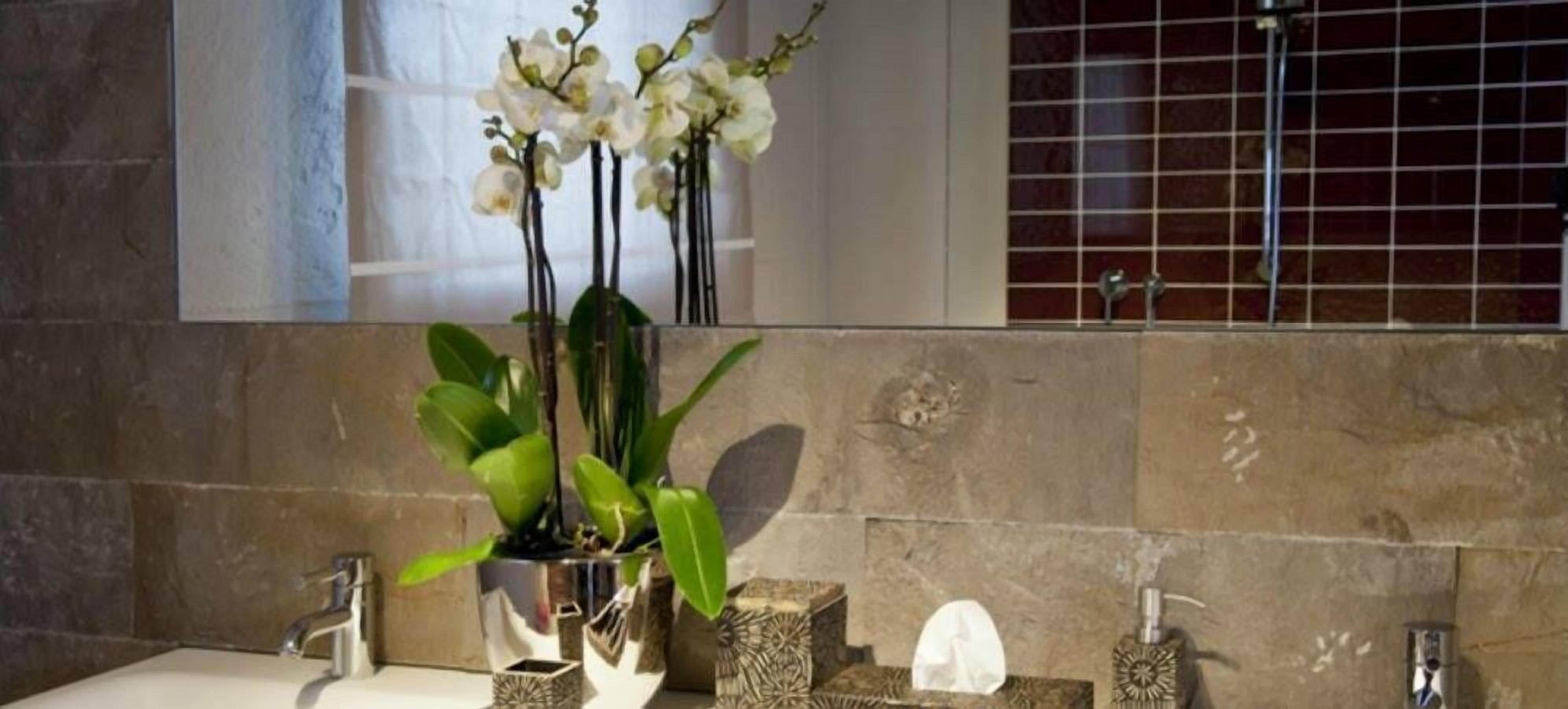 A bathroom with a sink, two orchid plants in glass containers, a mirror, and a tiled wall.
