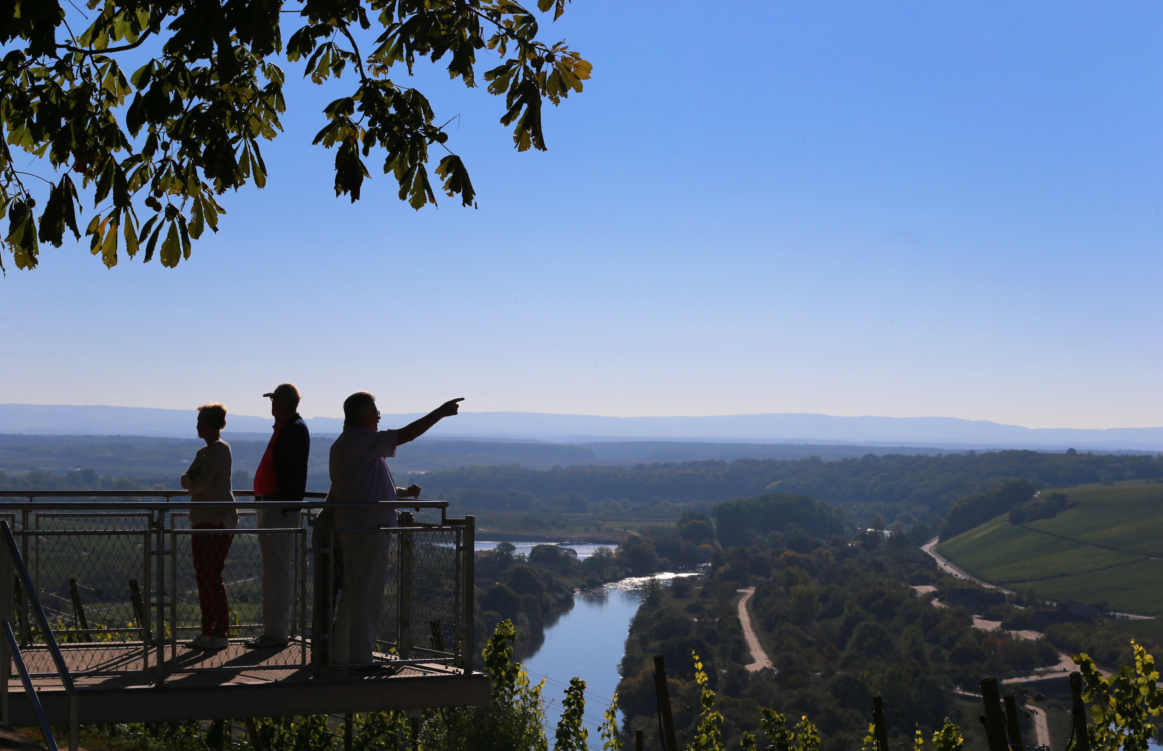 land view from property