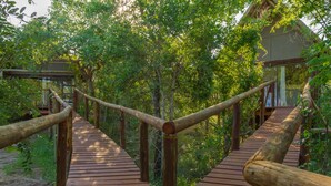 A wooden boardwalk with railings, surrounded by trees and vegetation.