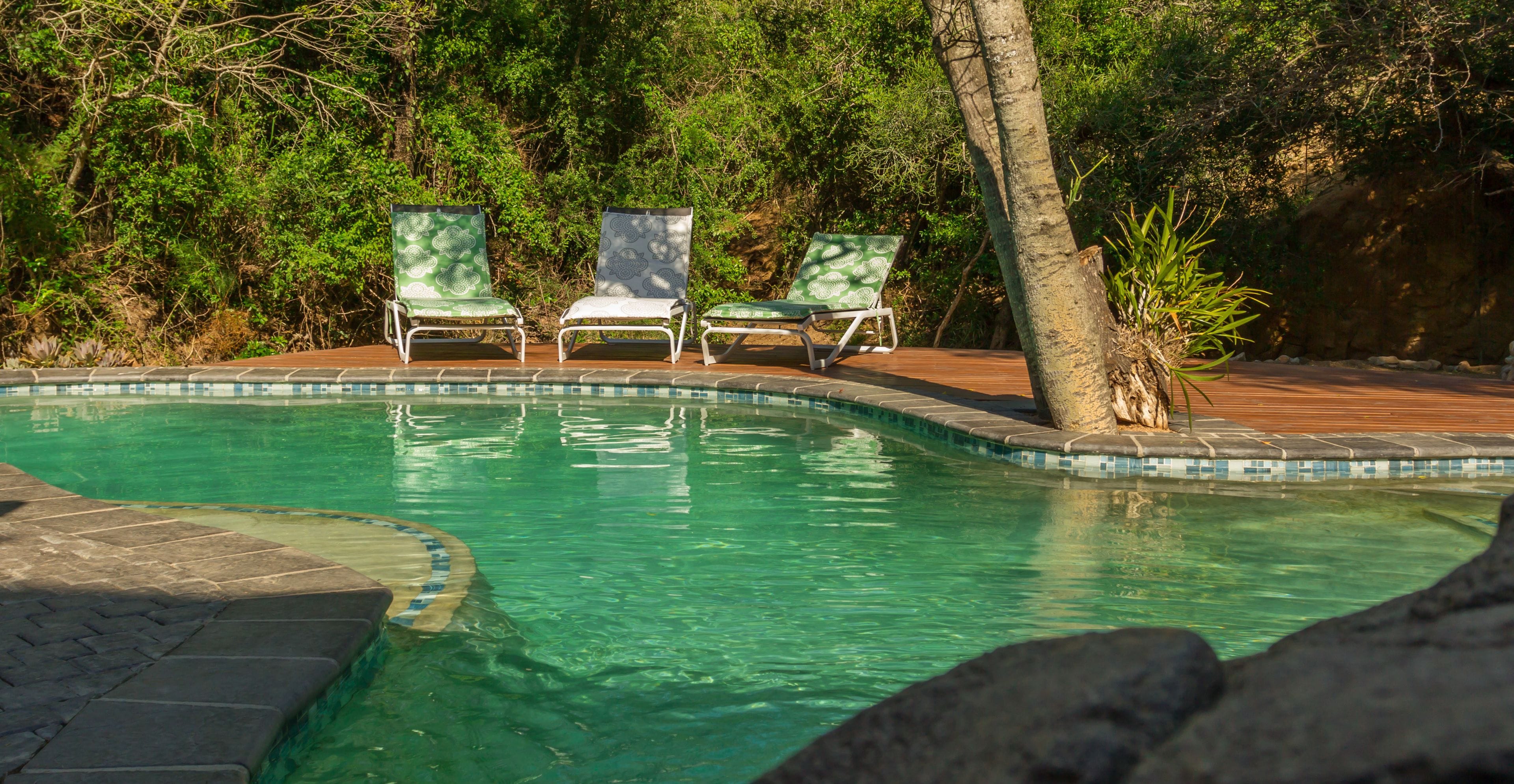 Outdoor pool, pool loungers