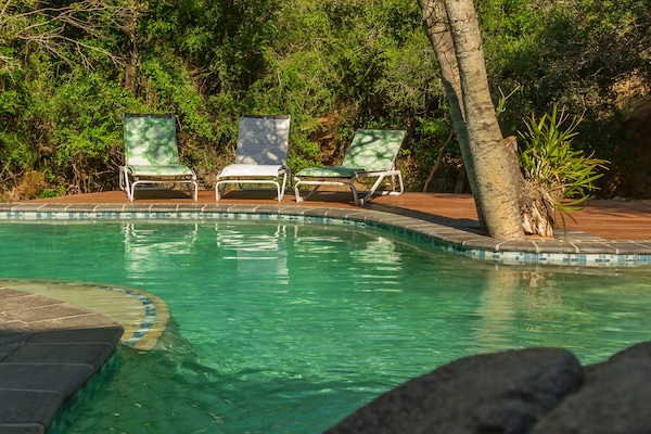 Outdoor pool, pool loungers