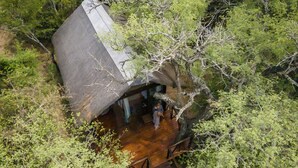 A treehouse with a wooden deck and a large window.
