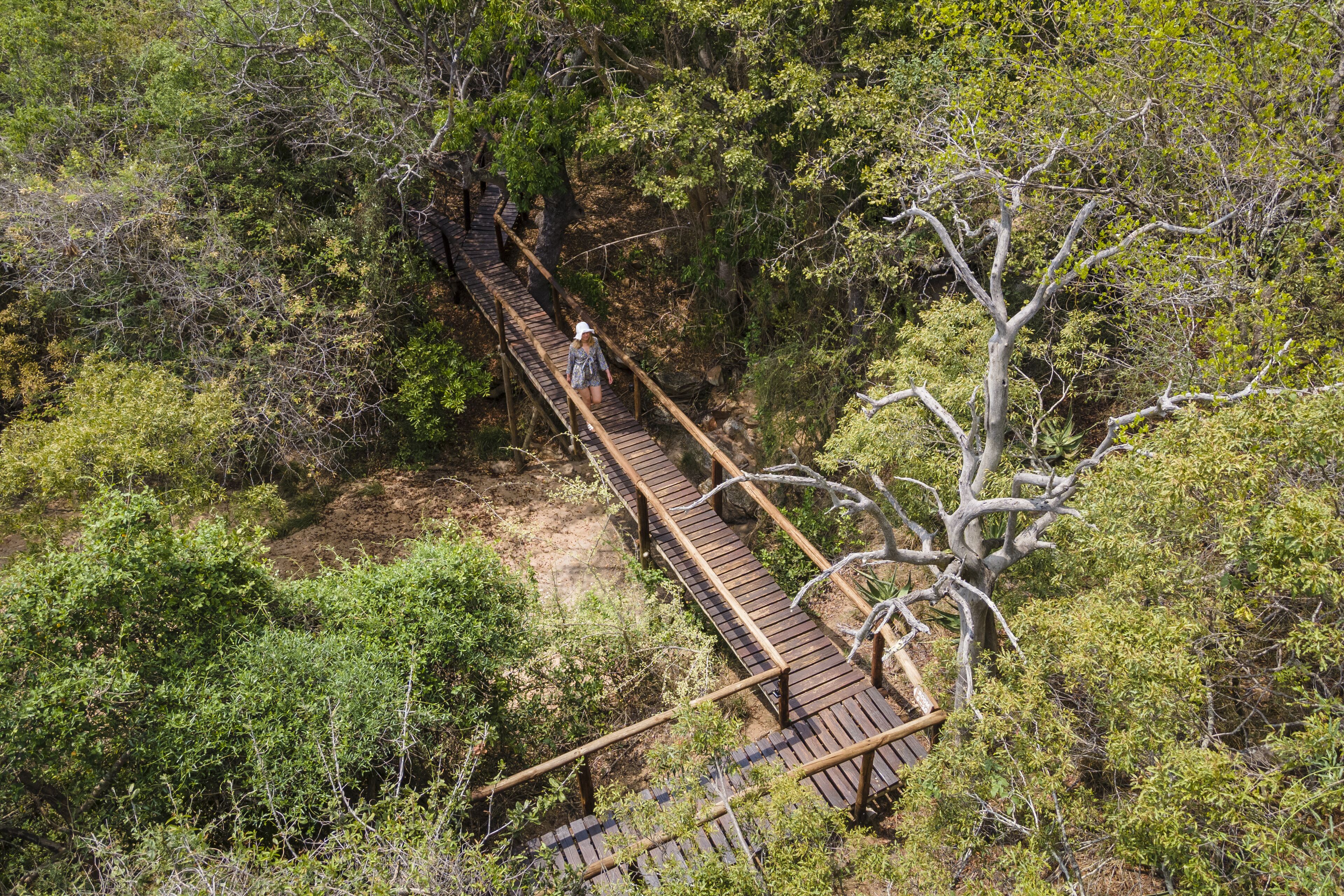 A wooden bridge in a forested area.