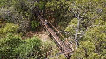 A wooden bridge in a forested area.