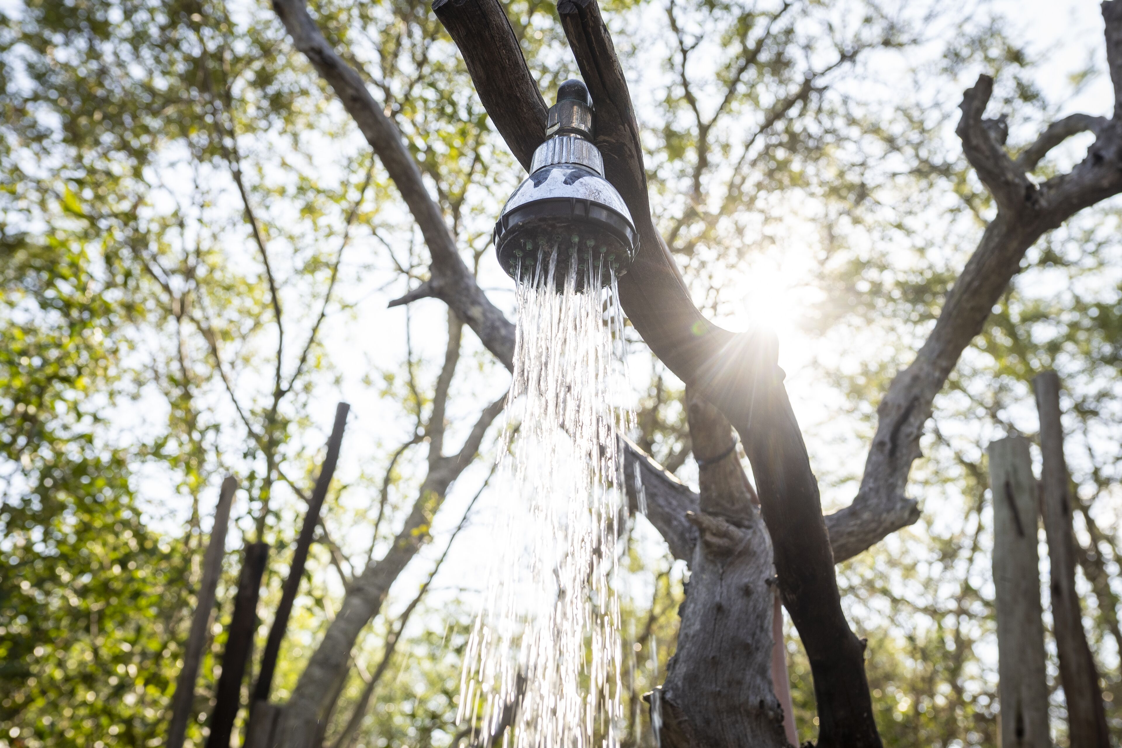 A water spout attached to a tree.