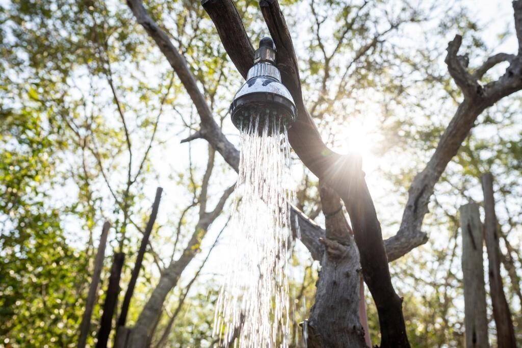 A tree with a water spout attached to it, with water flowing from the spout.
