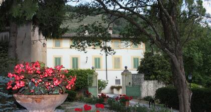 Villa del Cardinale