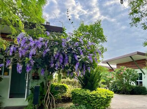 A building with a green exterior and a garden with purple flowering vines. - Me and Tree Villa (Kaeng Khoi)