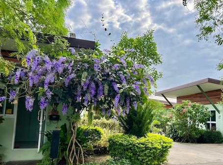 Property grounds. Me and Tree Villa