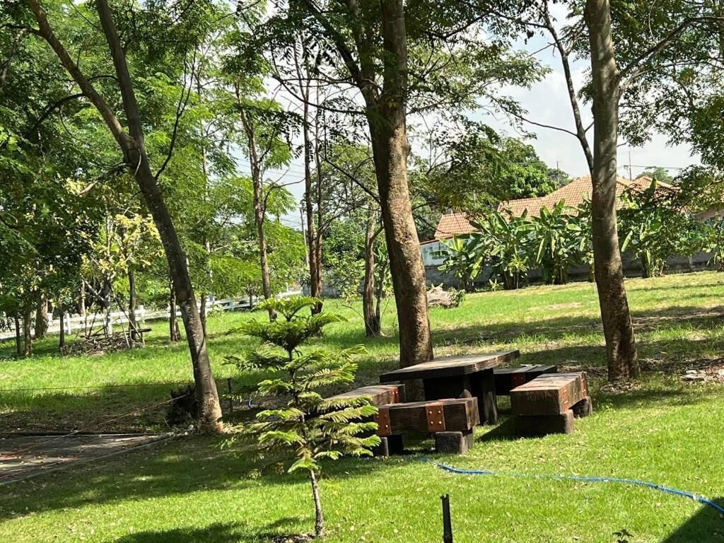 A grassy outdoor area with trees, a hammock, and picnic tables.