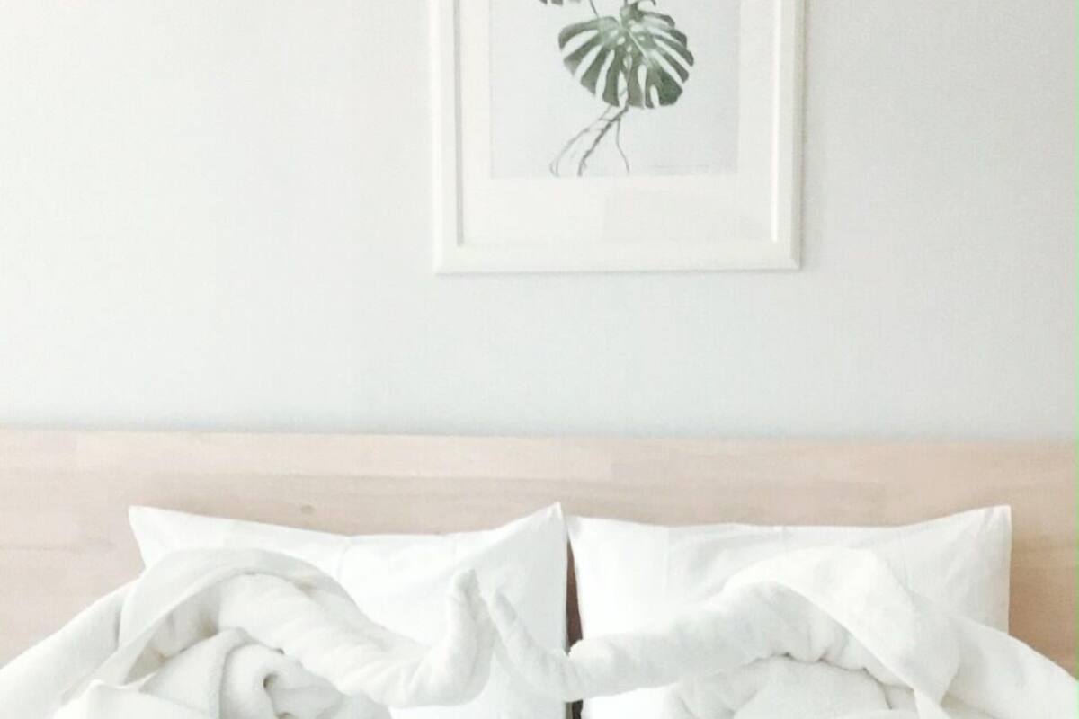 Habitación individual estándar | Minibar, escritorio, espacio para trabajar con un portátil y wifi gratis